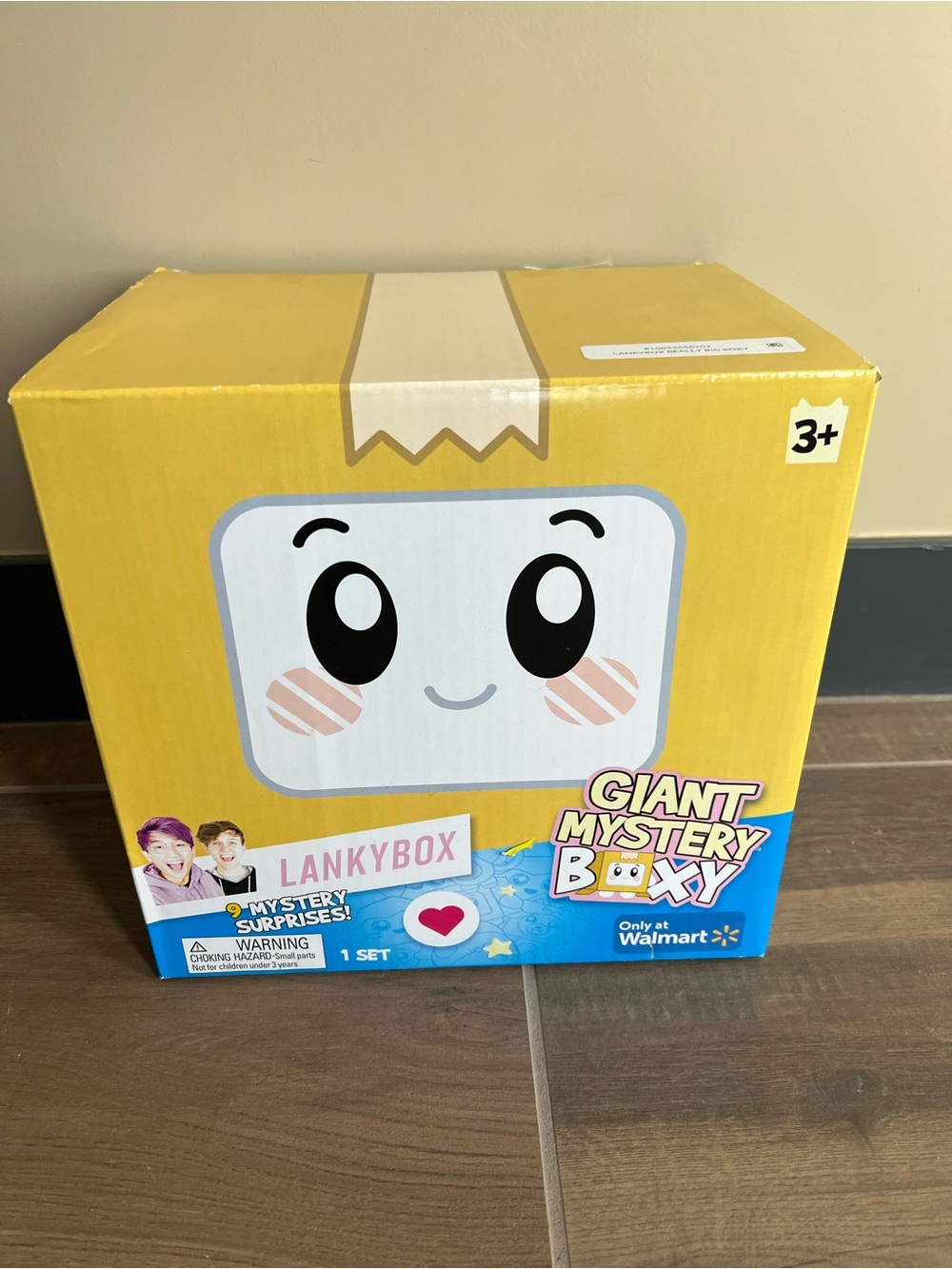 Giant Mystery Box for Kids - NWT $30